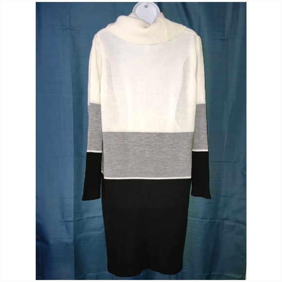 NY Collection Cowl Neck Sweater Dress - Picture 4 of 5